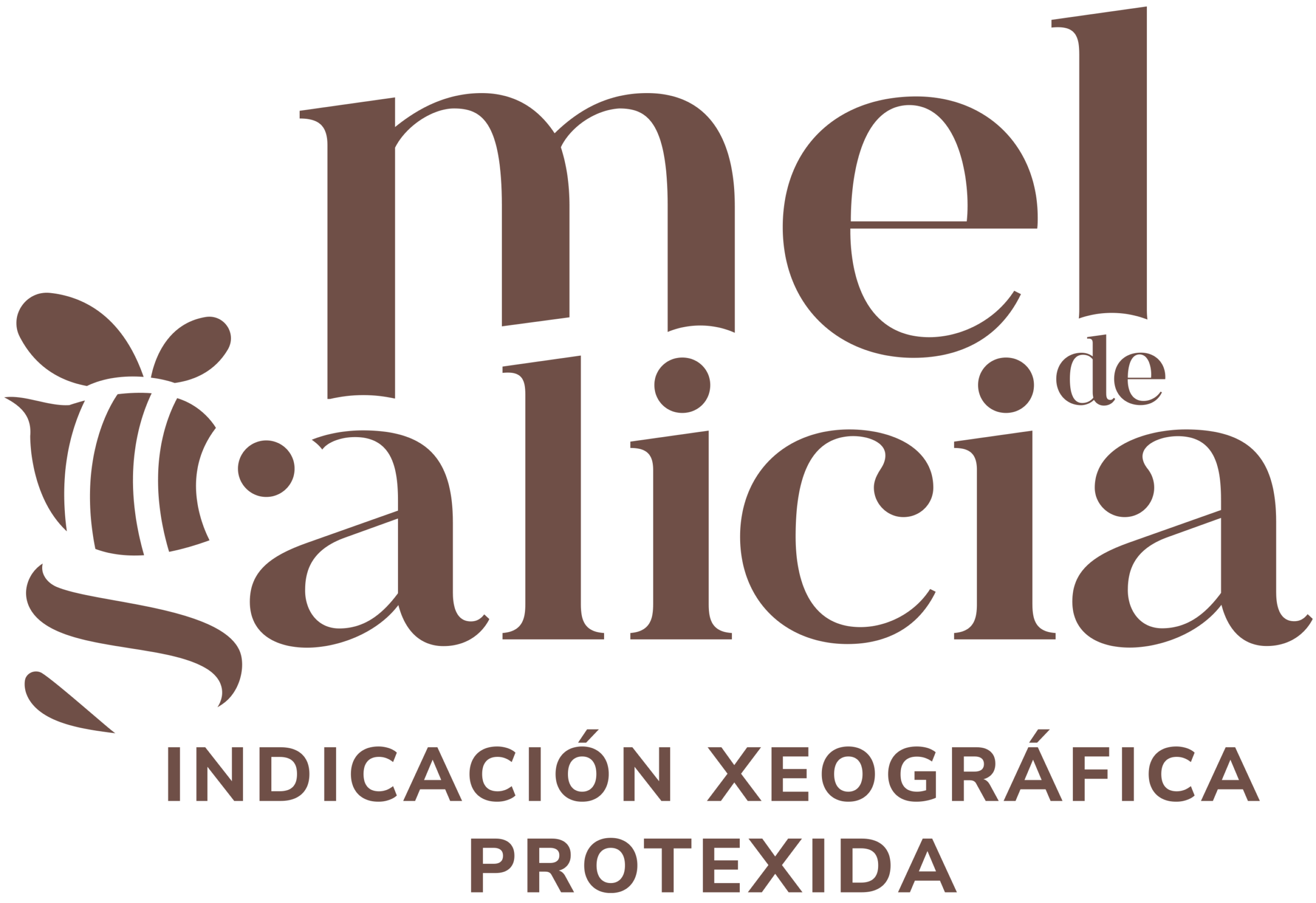 Mel de Galicia